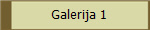 Galerija 1