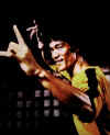 bruce lee2.jpg (33662 bytes)