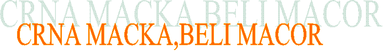 CRNA MACKA,BELI MACOR