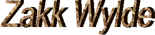 Zakk Wylde