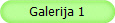 Galerija 1